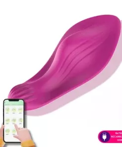 Vibrador de calcinha por aplicativo E69