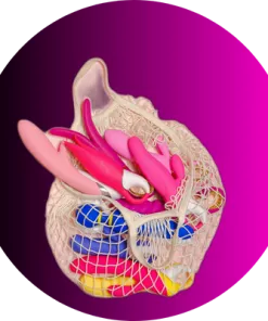 Acessórios