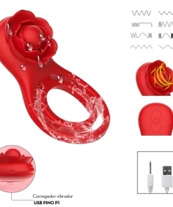 O Grego Sex Shop 2 O Grego Sex Shop