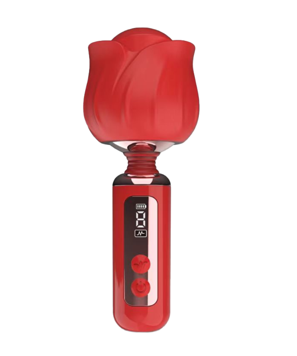 Vibrador Pulsador Rosa com Display